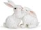 Easter Couple Bunny Decorations Spring Indoor Home Decor Electroplated European Mini Bunny Figurines Couple Gifts(Couple Bunny White)